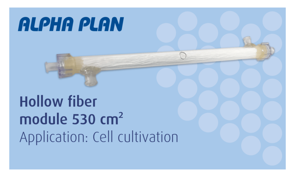 hollow fiber module